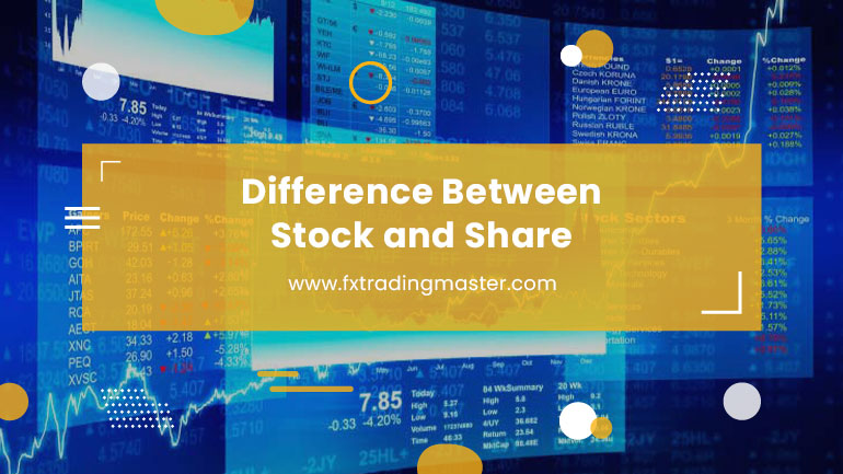 Sự khác biệt giữa Cổ phiếu và Cổ phiếu